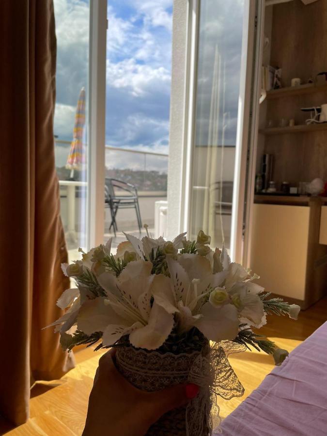 Bojana Apartment Penthouse Negotino  Extérieur photo